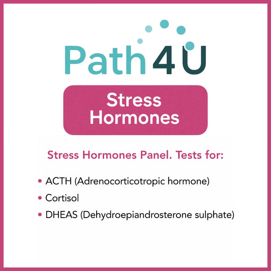 Path 4U: Stress Hormones